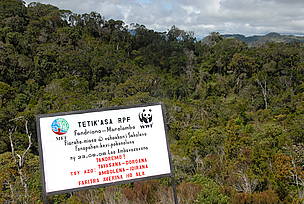 Zone identified for natural forest restoration, Fandriana. / ©: WWF-MWIOPO / ©: WWF-MWIOPO