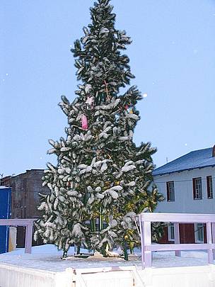 The Cape Schmidt Christmas tree. / ©: Tom Arnbom The Cape Schmidt Christmas tree. / ©: Tom Arnbom