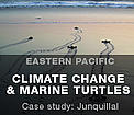  / &copy;: WWF