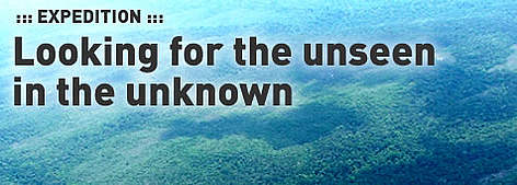 Juruena National Park forest viewed from the air rel=