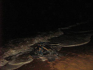  / &copy;: WWF Guianas
