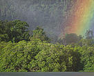 Tropical rainforest near Berau demonstrating environmental and social functions of pre-FSC certification. East Kalimantan, Indonesia.