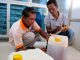 Kalimantan Honey / ©: WWF / ©: WWF