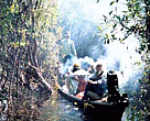Farmers using traditional methods to collect honey in Lake Sentarum National Park, West Kalimantan