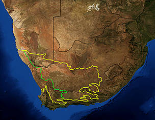 The yellow line encloses the two Karoo ecoregions of southern Africa. The green line separates the ... / ©: NASA / Wikipedia User: Pfly / ©: NASA / Wikipedia User: Pfly