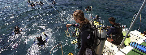 Scuba diving tours in Kas Turkey / ©: M. Günther - WWF/Canon Scuba diving tours in Kas Turkey rel=