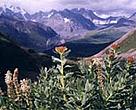 Stunning landscapes of the Katon-Karagai National Park