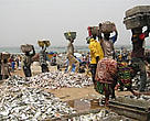 Bringing fresh-landed fish from the beach into trucks, Kayar, Senegal.