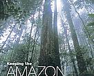 Keeping the Amazon Forests Standing: A matter of values