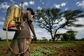  / &copy;: WWF / Getty images / Brent STIRTON