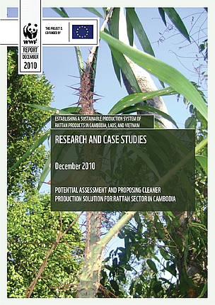 Cover for Cambodia Country Assessment