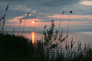 The Amur-Heilong Freshwater Ecoregion supports the International Nature Reserve Khanka-Xingkai ... / ©: WWF Russia / Yuri Darman The International Nature Reserve Khanka Lake. The Amur-Heilong Freshwater Ecoregion / ©: WWF Russia / Yuri Darman