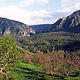 &copy; WWF Armenia / A. Malkhasyan