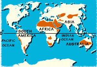 Deserts of the world. / ©: WWF Deserts of the world. / ©: WWF