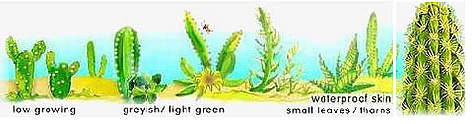 Desert vegetation. / ©: WWF Desert vegetation. rel=