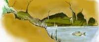 Cave-dwelling fish. / ©: WWF Cave-dwelling fish. / ©: WWF