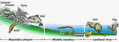 Lakes & Ponds - home to a myriad of species. / ©: WWF Lakes & Ponds - home to a myriad of species. rel=