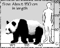 Panda height. / ©: WWF Panda height. / ©: WWF