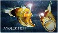 Angler Fish. / &copy;: WWF-Canon