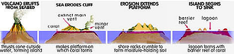 How oceanic islands are formed? / ©: WWF How oceanic islands are formed? rel=