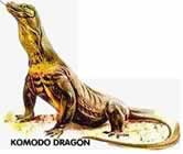 Komodo Dragon. / ©: WWF Komodo Dragon. / ©: WWF