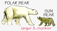 Larger and Chunkier Animals. / ©: WWF Larger and Chunkier Animals. / ©: WWF