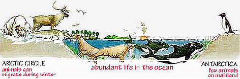 Abundant Life in Oceans. / ©: WWF Abundant Life in Oceans. rel=