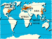 Temperate forests of the world. / ©: WWF Temperate forests of the world. / ©: WWF
