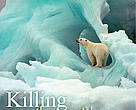 Killing them softly....Health effects in Arctic wildlife linked to chemical exposures.