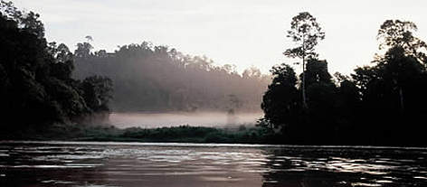 Early morning mist on river, Kinabatangan, Sabah, Malaysia. / ©: WWF-Canon / Alain COMPOST rel=