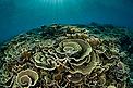  / &copy;: Jürgen Freund / WWF-CANON