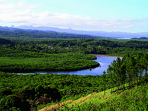 Mangroves act as a buffer between the land and sea, filtering out excess nutrient and sediment from ... / ©: WWF-SPPO / ©: WWF-SPPO