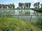 Ciocanesti fish farm / ©: WWF Ciocanesti fish farm / ©: WWF