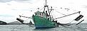 Shrimp fishing boat, Gulf of California, Mexico. / &copy;: WWF-Canon / Gustavo YBARRA