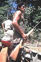 Illegal logging in the lowland rainforest along the Rio La Torre. Loggers on search for bush meat ... / ©: WWF-Canon / André BÄRTSCHI Illegal logging in the lowland rainforest along the Rio La Torre. Loggers on search for bush meat ... / ©: WWF-Canon / André BÄRTSCHI