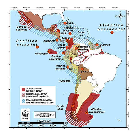 Ecoregiones relevantes de WWF para Latinoamérica y el Caribe con proyectos de tortugas marinas, ... / ©: Ana Fonseca y Carlos Drews rel=