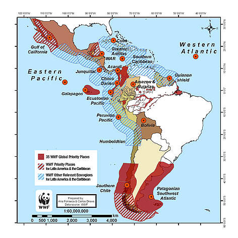 Relevant ecoregions in Latin America & the Caribbean with marine turtle, cetacean & fishery ... / ©: Ana Fonseca, WWF LAC rel=