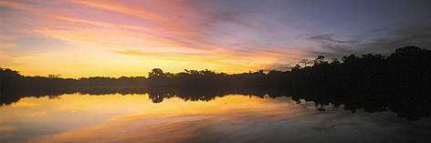 Riverside forest at sunset in Manuripi National Wildlife Reserve, Pando, Bolivia. / ©: WWF-Canon / Eduardo RUIZ Riverside forest at sunset in Manuripi National Wildlife Reserve, Pando, Bolivia. rel=