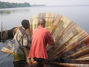 Locals working on Lac Tumba in the Democratic Republic of Congo, a region that has become part of ... / ©: WWF / ©: WWF