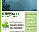 Living Amazon Initiative
Bolstering the value of Natural Ecosystems