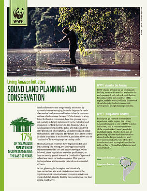 Living Amazon Initiative
Sound land planning and conservation / ©: WWF Perú / ©: WWF Perú