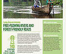 Living Amazon Initiative
Free - Flowing rivers and forest - friendly roads
