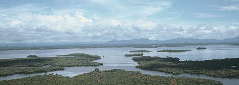 Overview of Danau (Lake) Sentarum Wild Animals Preservation (about 600,000 ha). The surrounding ... / ©: WWF-Canon / Jikkie JONKMAN Overview of Danau (Lake) Sentarum Wild Animals Preservation (about 600,000 ha). The surrounding ... rel=
