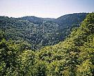 Ambrolauri, Greater Caucasus Corridor, photo by  N.Chelidze 