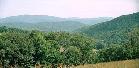Conservation Easment, Catskill Delawere watershed. New York State. Without the protection of ... / ©: Tanya Petersen WWF-Canon rel=