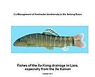 Fishes of the Xe Kong drainage in Laos report cover