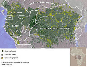  / &copy;: Congo Basin Forest Partnership
