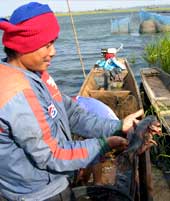 Freshwater fish are an important food source for many people in Thailand. / &copy;: WWF Thailand