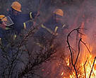 Volunteer fire fighters from the Association for Forest Development and Conservation (AFDC), Lebanon.