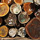 Timber, legally harvested by the Samatex company which participates in WWF's Global Forest Trade Network (GFTN) programme, Samreboi, western Ghana. © Hartmut Jungius WWF-Canon